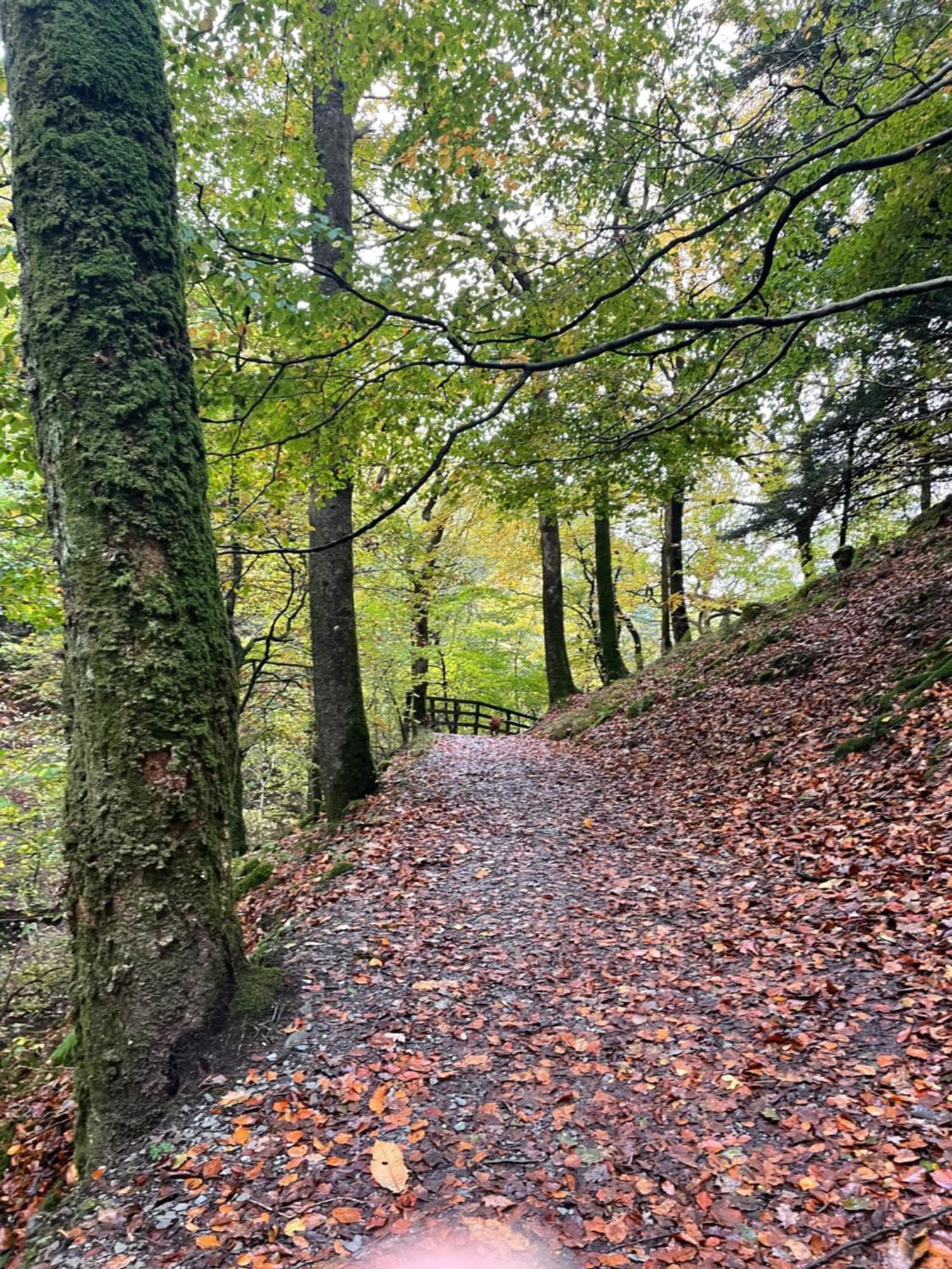 Grizedale View Apartment Coniston Luaran gambar